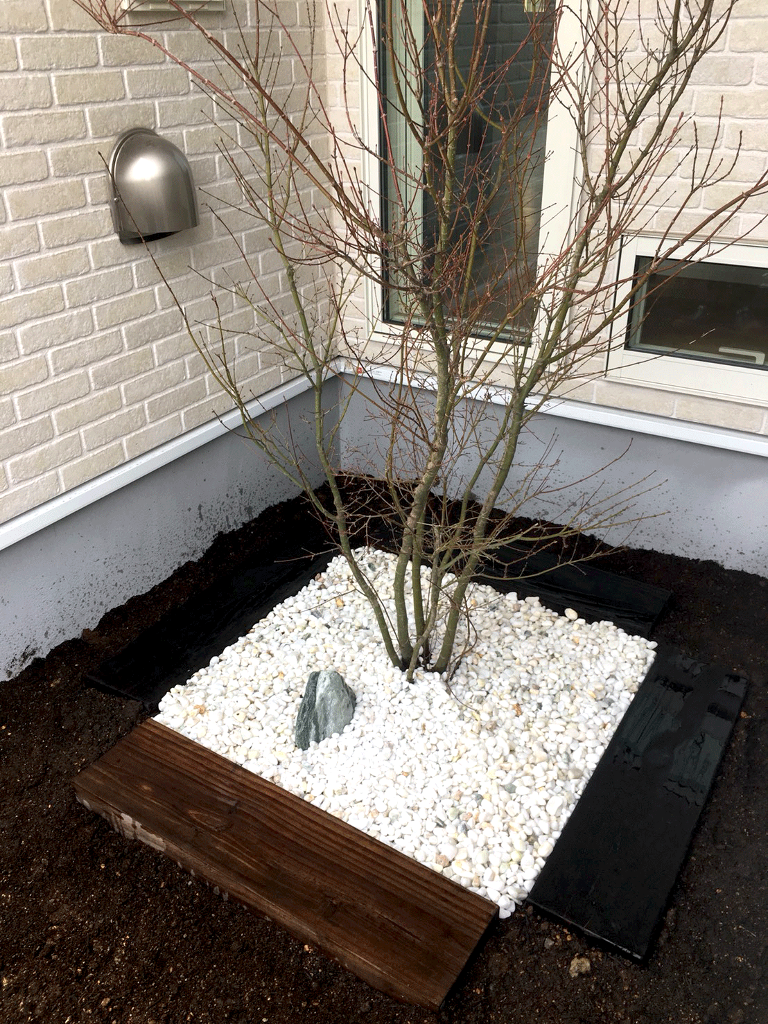 パティオと四季を感じる家